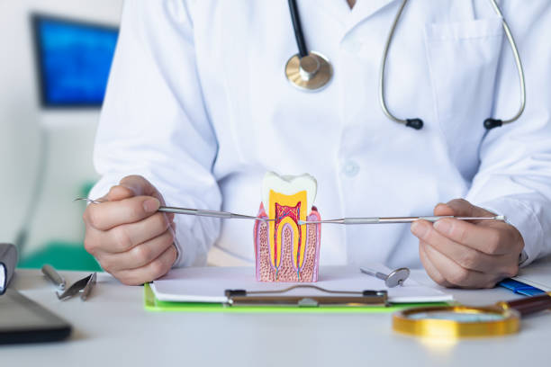 Best Root Canal Emergency Dentist  in Montvale, NJ